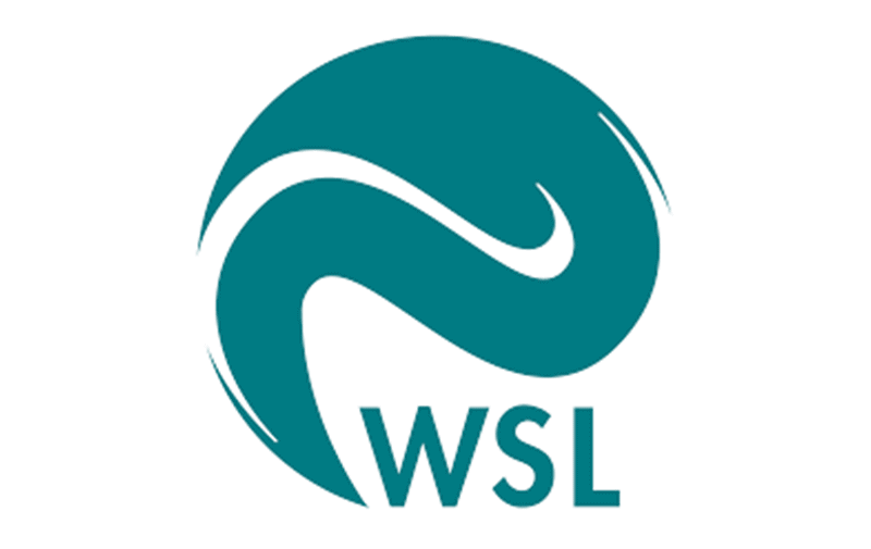 WSL